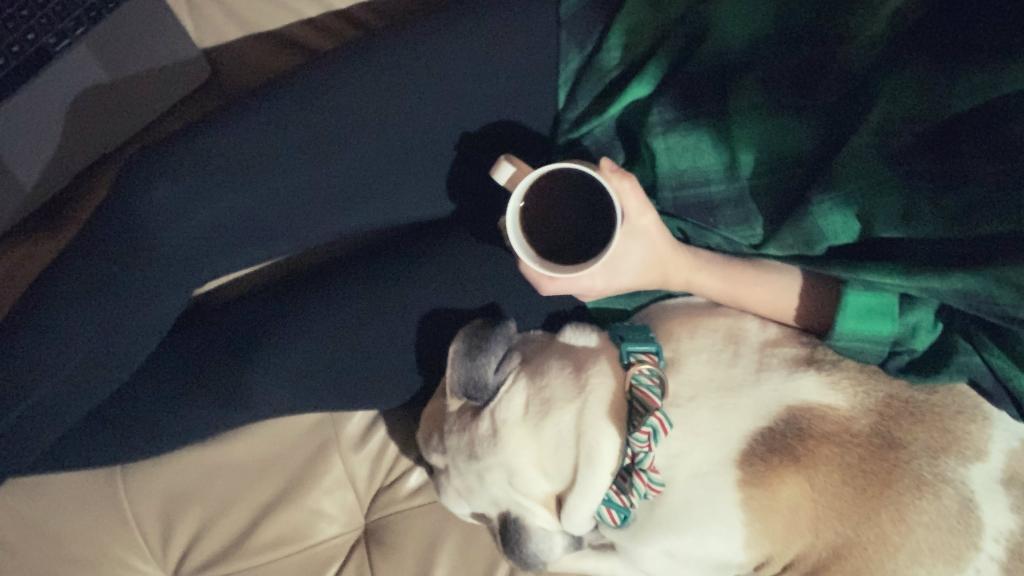 An overlook view of a person holding a coffee cup and a dog sitting next to it