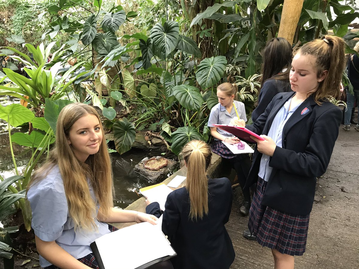 THSch_Geography's tweet photo. Thanks to the art department for clear instructions, L4 producing wonderful drawings #THSch #THArt #doingourbest https://t.co/aVVFBG82a4