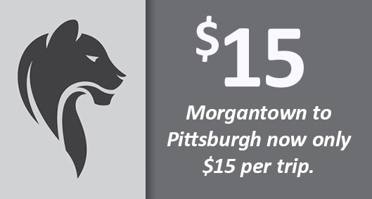 ML29grey tweet media