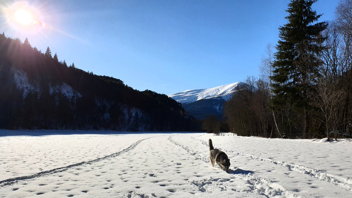 colas_masi's tweet photo. En attendant la semaine prochaine le retour du froid et peut-être un peu de neige qui sera de la partie...
On croise les doigts ! 🤞
Bon début de semaine à tous !
#irresistiblealpesdehauteprovence #alpesdehauteprovence #visit04 #purealpes #alpesfrenchsouth https://t.co/KMxQexJO5D