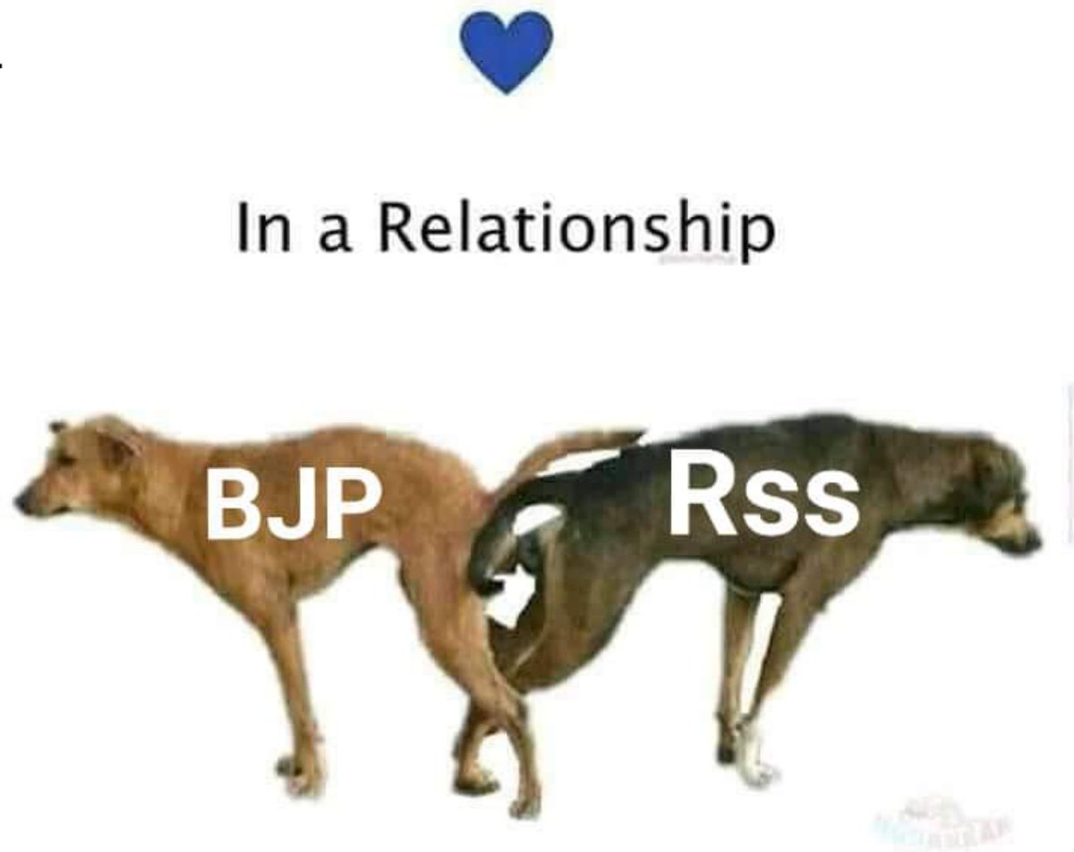 MohammedAarifGS's tweet photo. @pranjal87308508 @AKatochThakur1 @yusufiosys @nehasamee11 @ranajig @ronaldrajanna @scrapravi @watdehel @dennisckurian @mujworld @MdRazialampat @VermaUdayraj1 @siddiq_mifra @Deep4IND @rajjeshyadav007 @pavan_sethi @manishb55 @ChanderPeakash @ravinan30310294 @aayeff1 @Jitendr68864058 @sibtehasan20 @sweposten @Samyuktha1908 @ncjain50 @ParveenKader @ClicoHimanshu @EmpoweringGoa @GEORGE52107460 @ShastriBale @Mr_Singh86_ @SameerR19829832 @SATYASAARTHI @tshamsi88 @Aqeelkhan4u @mdbaid @ImZainuddin54 @tara65kumar16 @Mosss23700674 @healer_dr @Nikhil_P_B @kukk44 @Aleisha641 @Dibyendu69 @ArvindKejriwal @INCIndia @ravishndtv @scroll_in @AamAadmiParty @sakshijoshii #DelhiElections2020 #mondaythoughts #MondayMorning #DelhiElections #DelhiWithBJP #DelhiAssemblyElections #JamiaShooting #jamiafiring #JamiaUnderAttack #ShaheenBaghProtests #CAA_NRCProtests #CAA #NRC_CAA #BJP #IndiaSupportsCAA #JNUTerrorAttack #JNUViolence #jnu_terrorattack https://t.co/yASYLUORmn