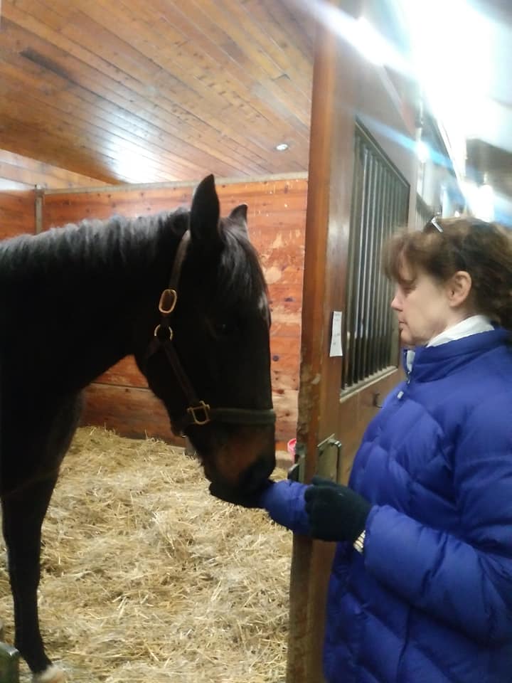 HBPA_ONT's tweet photo. Don't forget the VALENTINE'S DAY Photo Contest/HBPA Ontario Twitter!  Show your #ThoroughbredLove - win a prize!  First, be a follower of @HBPA_ONT, post your photo of you and your horse with hashtag #ThoroughbredLove, Tag 
@HBPA_ONT.  Winner to be drawn from entries Feb. 15. https://t.co/4aqxbAwvl2