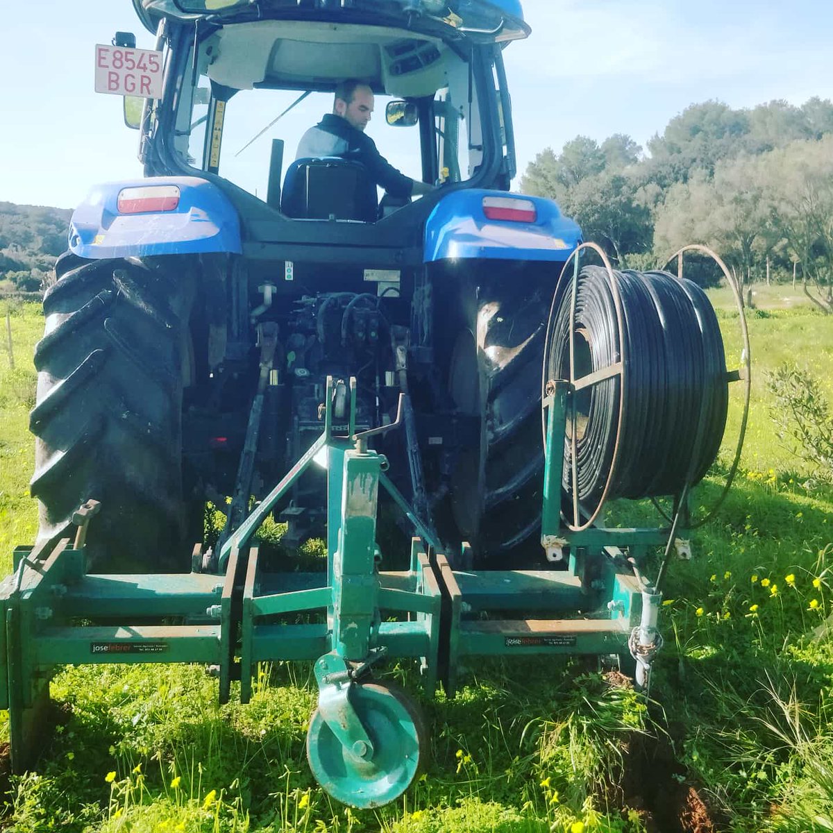 francescfont_'s tweet photo. This morning we worked with #holisticmanagement , #keylinedesign , and training on olive oil for chefs. #SonFelip is starting to be a mediterranean farm with many faces. 👩🌾💚😉 @polyfaces https://t.co/8EnAd7jwh3