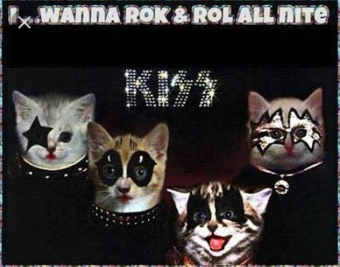 musa_de_colores's tweet photo. @jlmarlora #FelizLunes
#FelizLunesATodos
#KissCat https://t.co/2kXZmeiPXo