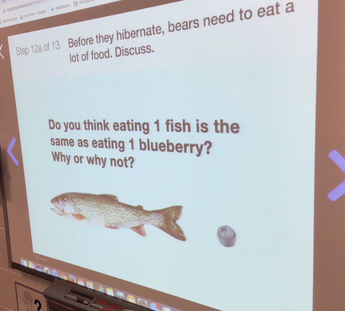 Learning about hibernation! Why do bears hibernate? We played matching game and talked about what bears eat to get ready for the winter. 🐻 #NBSColtPride