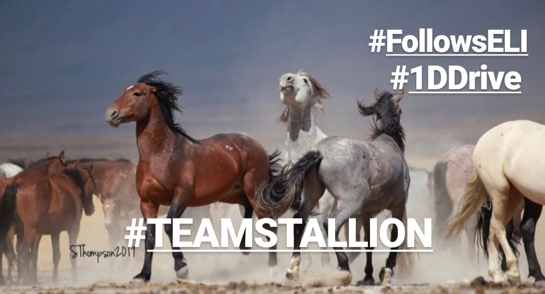 lumpie125 tweet media