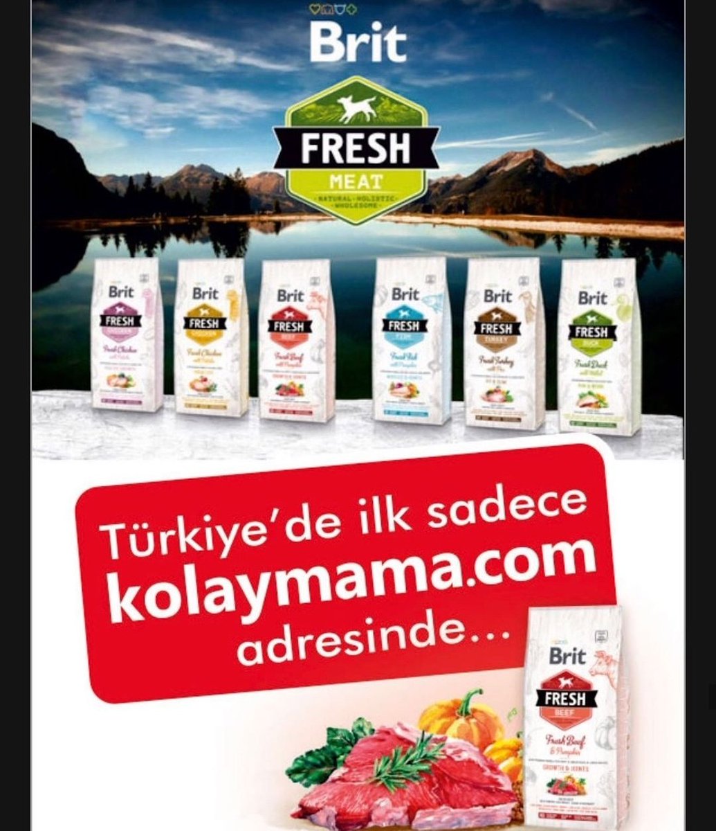 kolaymama's tweet photo. Brit Care Fresh serisi mamalar, Türkiye'de sadece @kolaymama da. 🐕🐈
#kolaymama #kedi #köpek #mama #britcare #fresh. https://t.co/BvVvuvT6xX