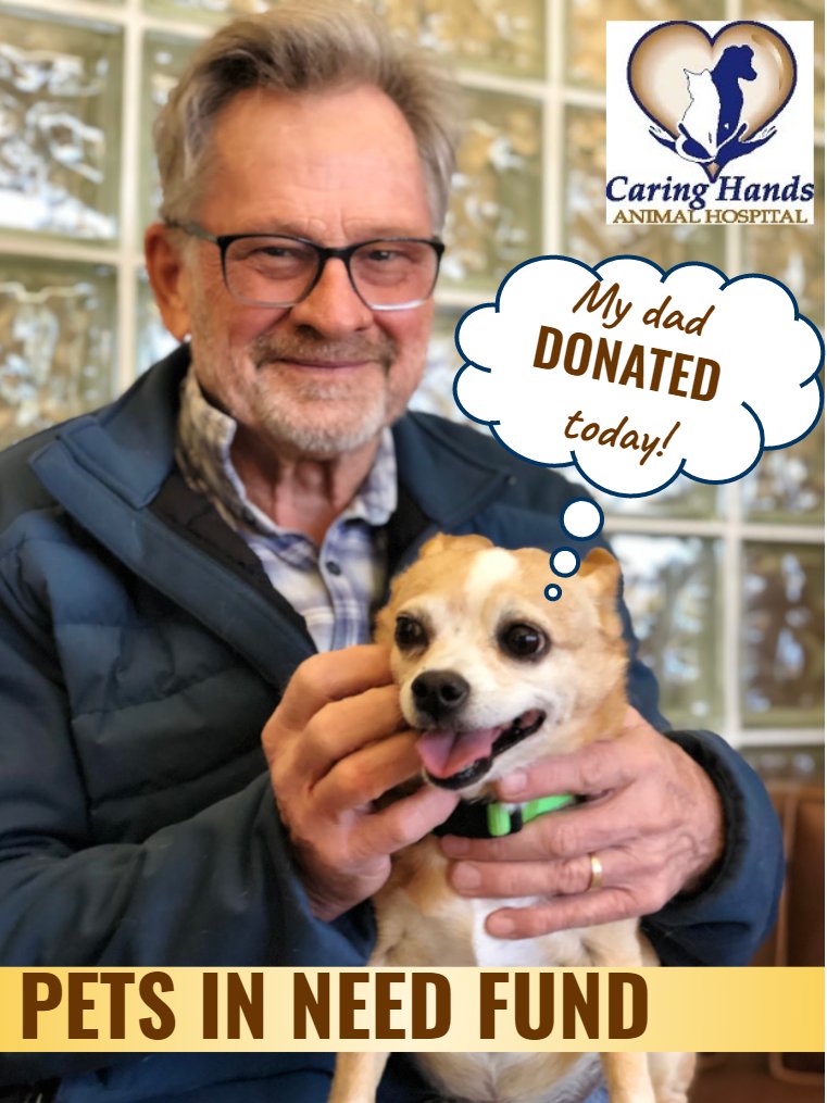Thank you Mr. Fikus for your continued support and your heart for Pets in Need. Call to DONATE today, so you too can make a difference in a pet's medical health. (702)823-4000 #DonationsPetsinNeedFund  #dogsoflasvegas #vegasdogs #lasvegaspets #lasvegaspet #petsoflasvegas
