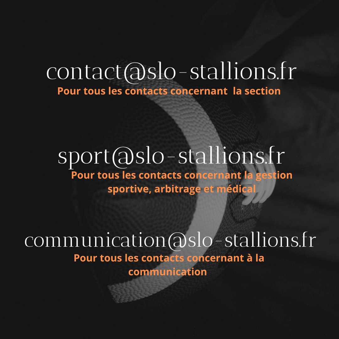 Pour se rapprocher de son appartenance au Stade Lavallois omnisports la section football américain se dote de trois nouvelles adresses. Contact@slo-stallions.fr qui remplace stallionslaval@gmail.com / sport@slo-stallions.fr et communication@slo-stallions.fr
#footus53 #laval