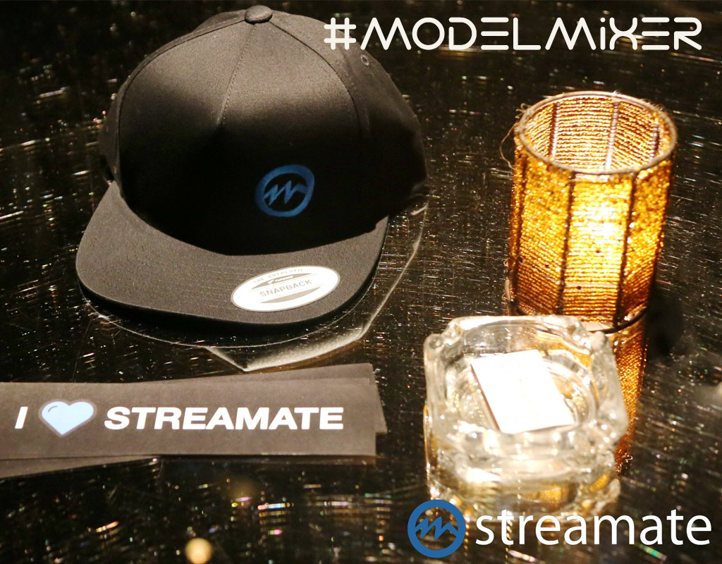 StreamateModels's tweet photo. Head over to our #blog for part 1 of our #ModelMixer recap! https://t.co/vlZua71yR7 #Streamate #StreamateModels Pics by @comeshootme1 https://t.co/zBDUSgadbe