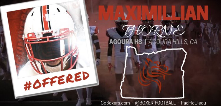 Maximillian p. Thorne tweet media