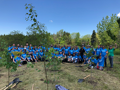 TreeCanada's tweet photo. Engage your employees in #treeplanting 🌳🌲 and combat climate change 🌎💚 at the same time! Deadline for a spring #PartnersInPlanting event is Feb 15! 📅  https://t.co/UtzYmq7y3s https://t.co/Jf3TTW5WwO