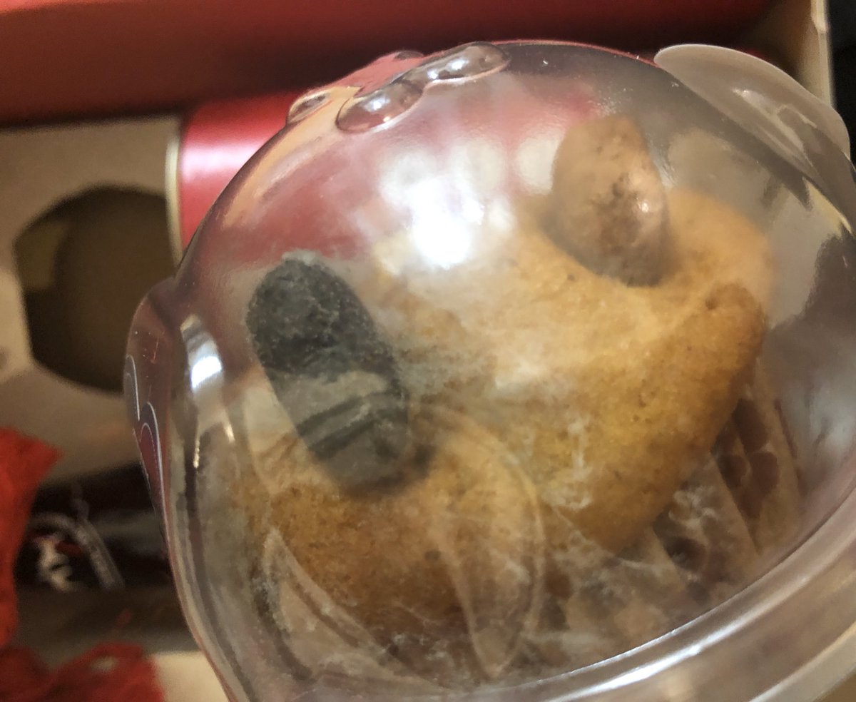 benjamin_London's tweet photo. @BestinShowuk  so disappointed, just went to use my doggy’s Xmas gift to give him a treat and already the muffin is mouldy despite a long shelf life. #dogtreats #doggyxmas #dogmuffin https://t.co/hjOLwQb9FF