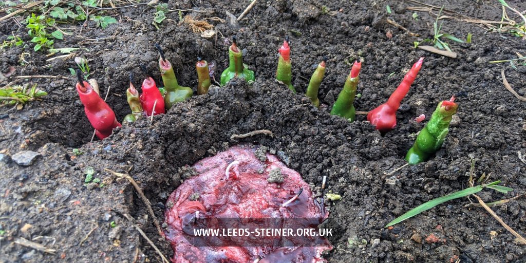 Happy #Candlemas everyone! Here's how our Parent &amp; Child (birth to 3 years), Kindergarten (3 to 6 years) and School (6+ years) children celebrated and learned about the Candlemas festival. leeds-steiner.org.uk/celebrating-ca… #Leeds #NewBlog #School #Education #AltEd #Imbolc #SteinerSchool