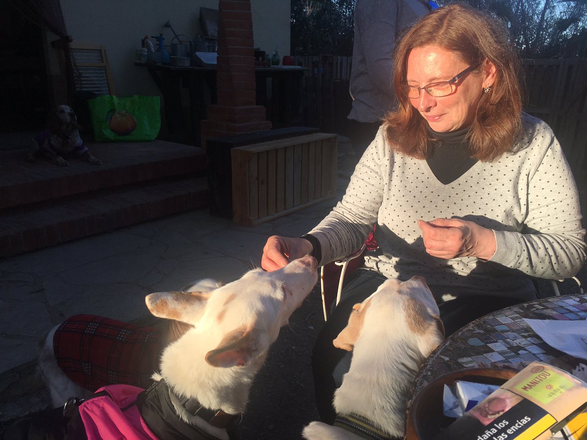 projectempathia's tweet photo. Lia 🎉🎉🎉

La princesa més tendre va escollir el dia d’ahir per perdre les pors i presentar-se en societat. 
Felicitat absoluta 

#projecteempathia #santuariodeanimales #santuario #doglife #doglover #doglovers #dog #lia #appache https://t.co/6MkpRWlVuG