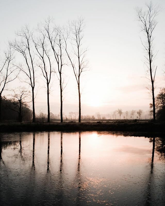 Simone Wittgen tweet media