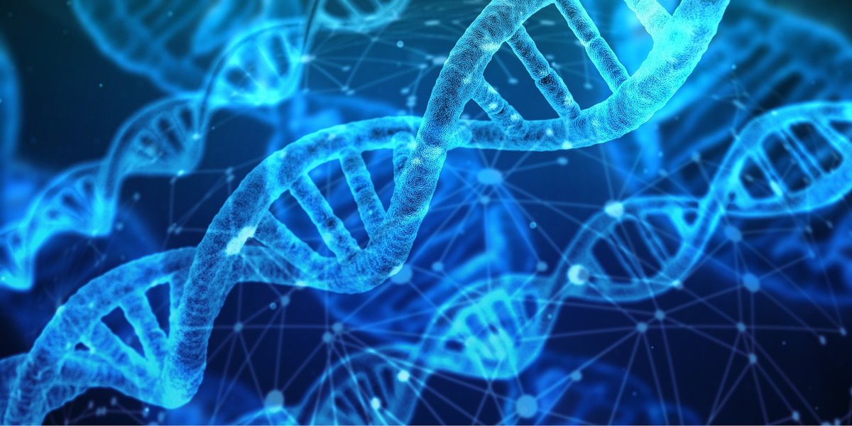 RCObsGyn's tweet photo. The RCOG has established a Genomics Taskforce with a clear purpose of understanding the need for genomics education among our membership. Find out more in #OGmagazine: https://t.co/ACvTC13GRZ https://t.co/QGB6CtySCt