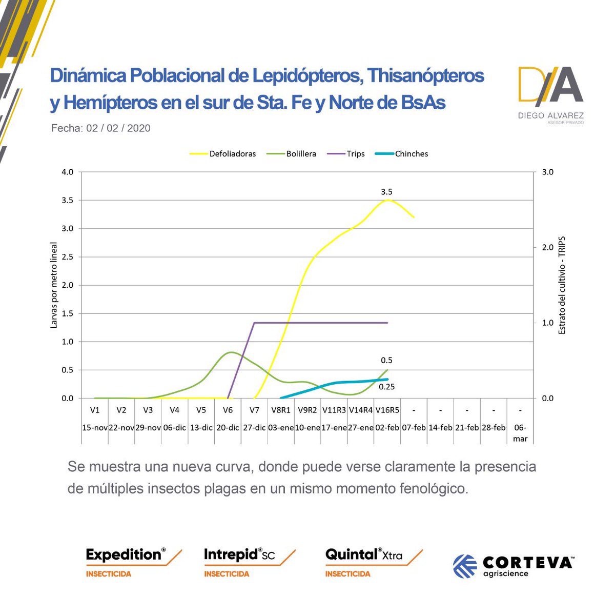 diegohalvarez79's tweet photo. [#Lepidópteros] 🐛 Ninguna de estas #plagas alcanza el UDA. Preocupa los niveles bajos pero constantes de #chinches y la continua presencia de #Bolilleras y su daño en vainas (ver fotos). A esto se suma la presencia de #Medidora y una presión elevada de #ManchaMarrón.
@CortevaARG https://t.co/AJH79SRf18