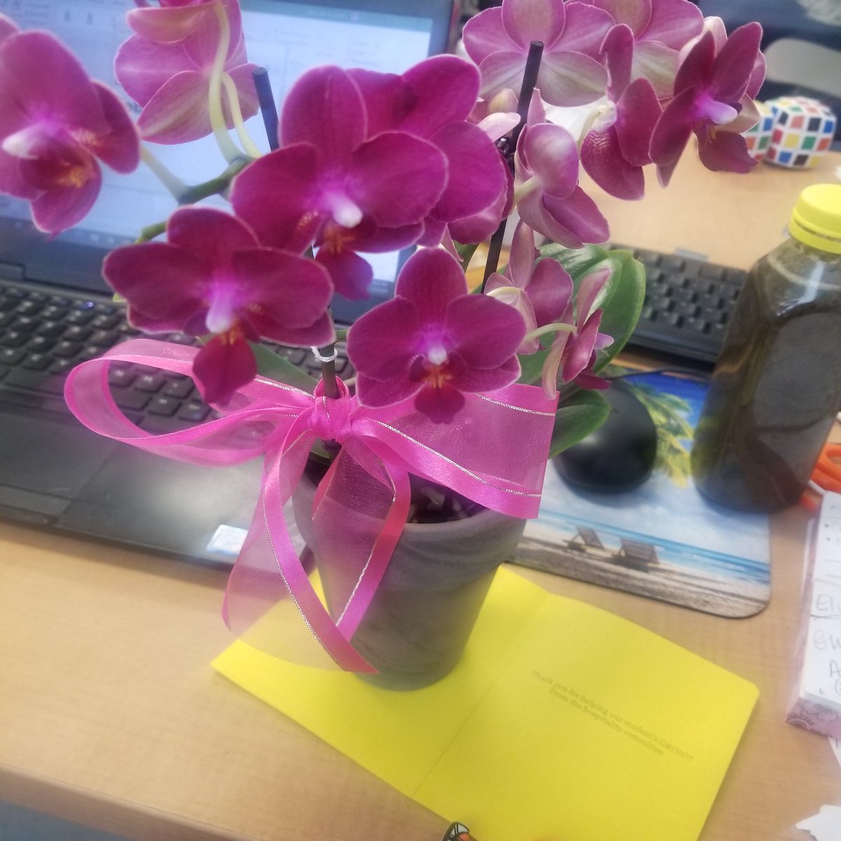CounselorClark1's tweet photo. thank you @McKinleyMiddle  Hospitality Team...It will be Marvelous Monday(week)🤗 https://t.co/qYva7cK3x7