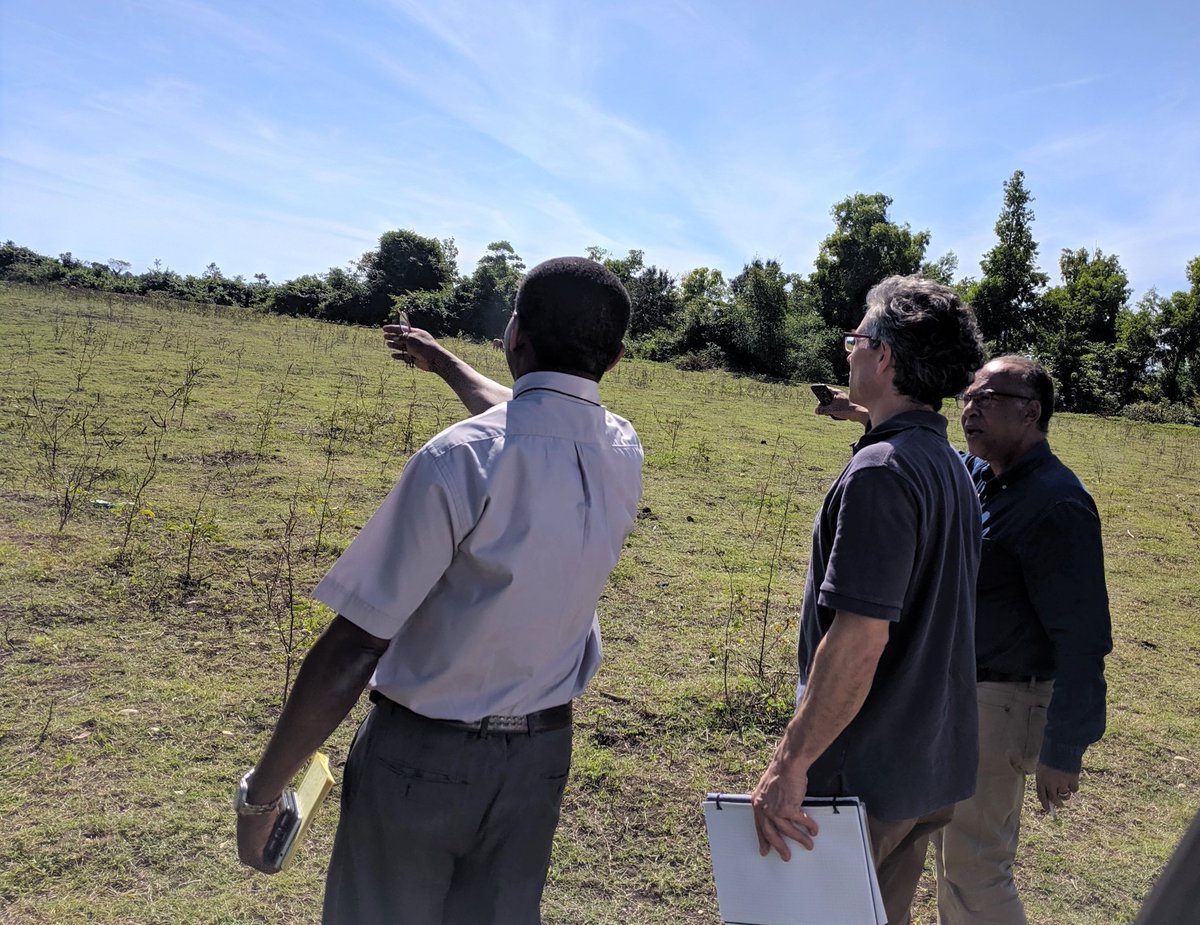 THPspeaks's tweet photo. Members of THP's Site Evaluation & Advisory Team recently visited two sites in Haiti that very well may be the locations of the next two LCS campuses! Pictured is the one the team visited in Les Cayes in the Sud department of #Haiti! #excited #education #TheLCSNetwork https://t.co/2RTXQ8PWKZ