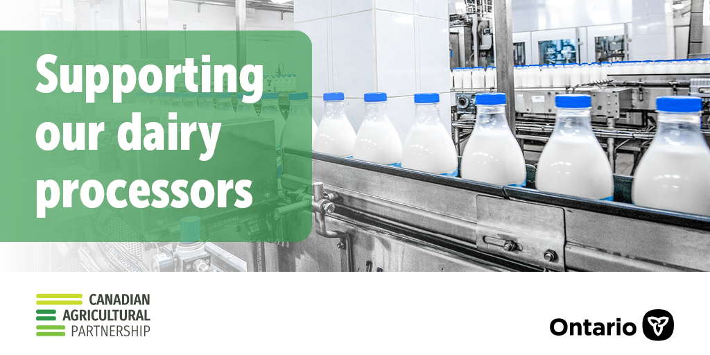 The words: “Supporting our dairy processors” appear in a green box on the left side of a photo. The photo is of clear, blue-capped bottles, containing white fluid, moving in a line on a piece of steel machinery.