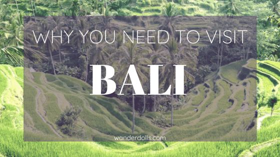 Why You Need To Visit Bali wanderdolls.com/why-you-need-t…