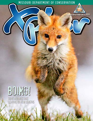 The January-February 2020 issue of Xplor features a jumping red fox.