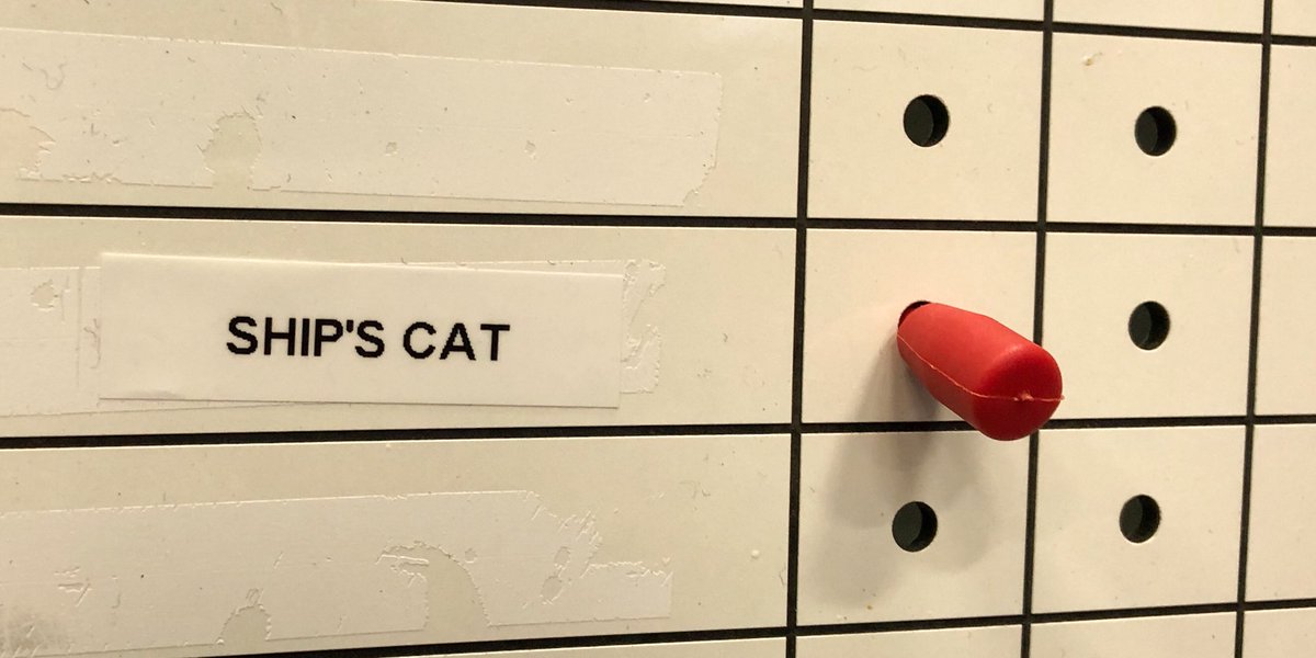 A label saying ship’s cat. Next to it are labelled holes to place your plastic peg to indicate whether you’re on board or ashore.