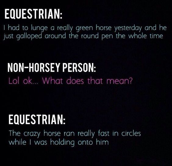 chat_stable's tweet photo. #horsetraining #peopledontunderstand https://t.co/cq2w5BZhR4