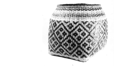 Cultural Preservation