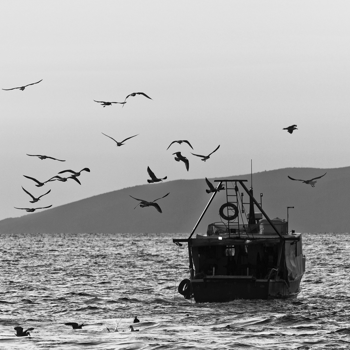 Dicen que lo importante no es el destino, sino el camino. Por eso, ponemos atención a cada detalle del recorrido para llevar lo mejor del mar a tu casa. 

#conservascuca #tradición