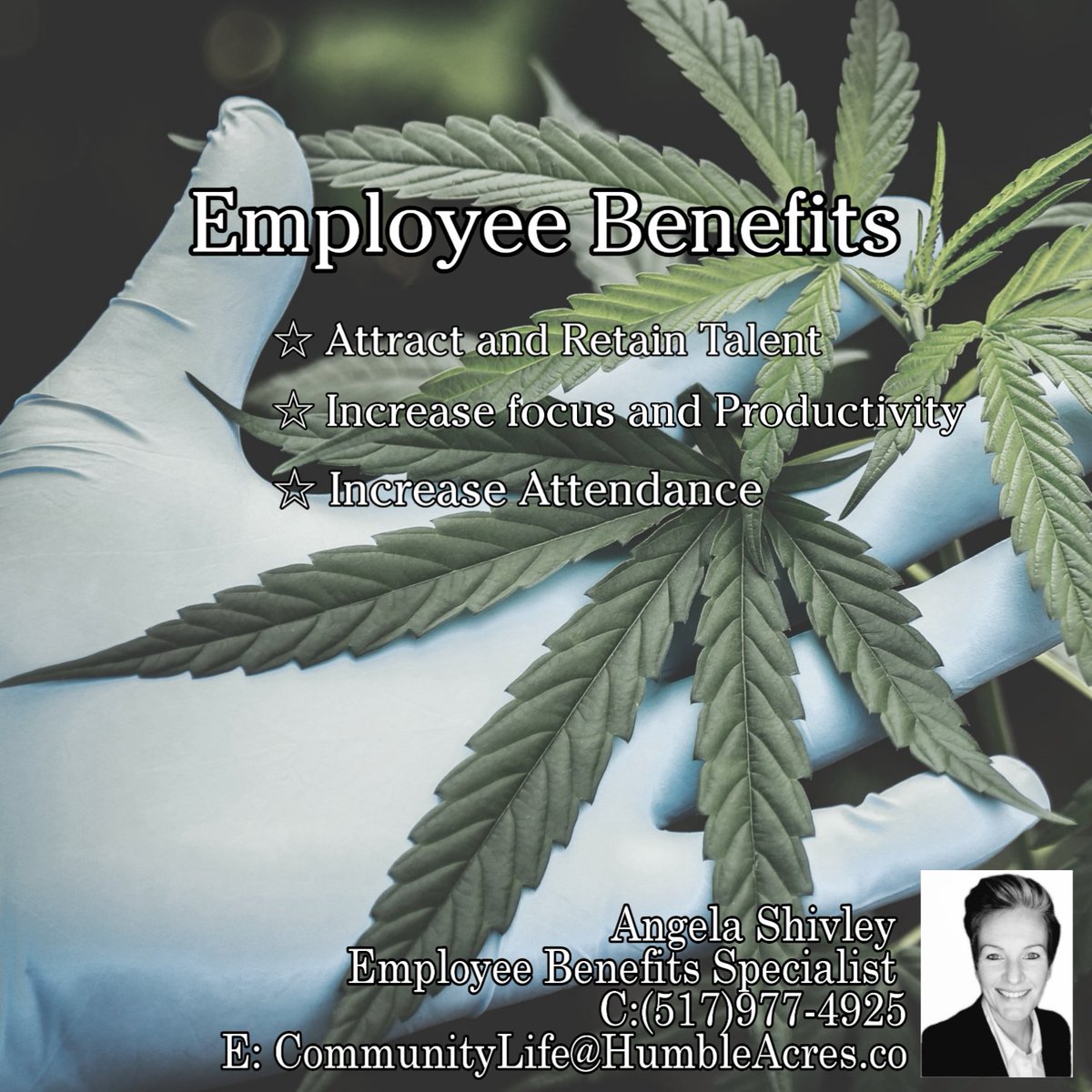 cannabislegalmi's tweet photo. CALLING ALL #MICHIGAN CANNABUSINESSES: Looking for a way to improve #employeebenefits without cost? Perhaps even with some tax savings?
Contact Angela Shively to learn how >> #cannabisbusiness #cannabiscommunity #communityindustry https://t.co/GP4hPX9ShN