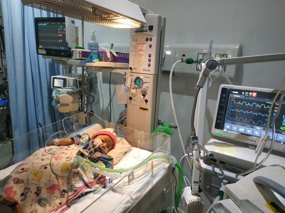 Aku yakin anak twitter pasti baik baik😇
Yuk bantu adek Clarissa sembuh dari jantung bocor di dinding dan pembuluh darah. Mamanya adek Clarissa ini kakaknya temenku dan mama nya ini guru ngaji yg gajinya ga lebih dari 500rb perbulan. 
Tolong bantu retweet ya temen2 terimakasih🙏