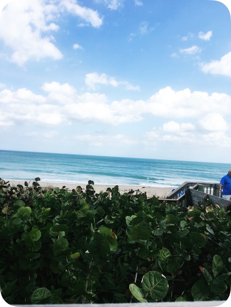 TheBetsiHill's tweet image. Florida's Treasure Coast is one of favorites in Florida - find out why. @visitstlucie @discovermartin #travel #floridastreasurecoast
alluringtravelmagazine.com/floridas-tanta…