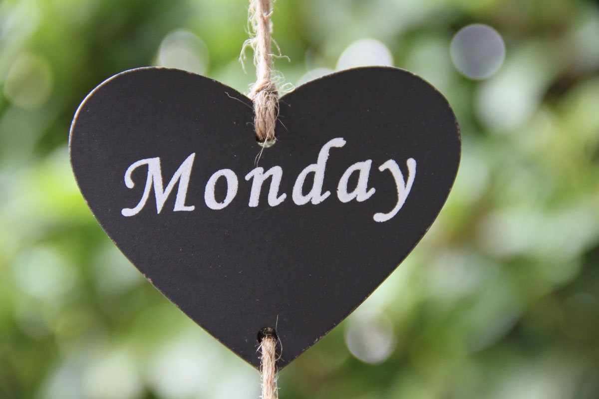 virtualdataroom's tweet image. We hope you have a Monday worth loving!
#SecureDocumentManagement #RequestListManagement #DataRooms #VirtualDataRoom
vaultrooms.com