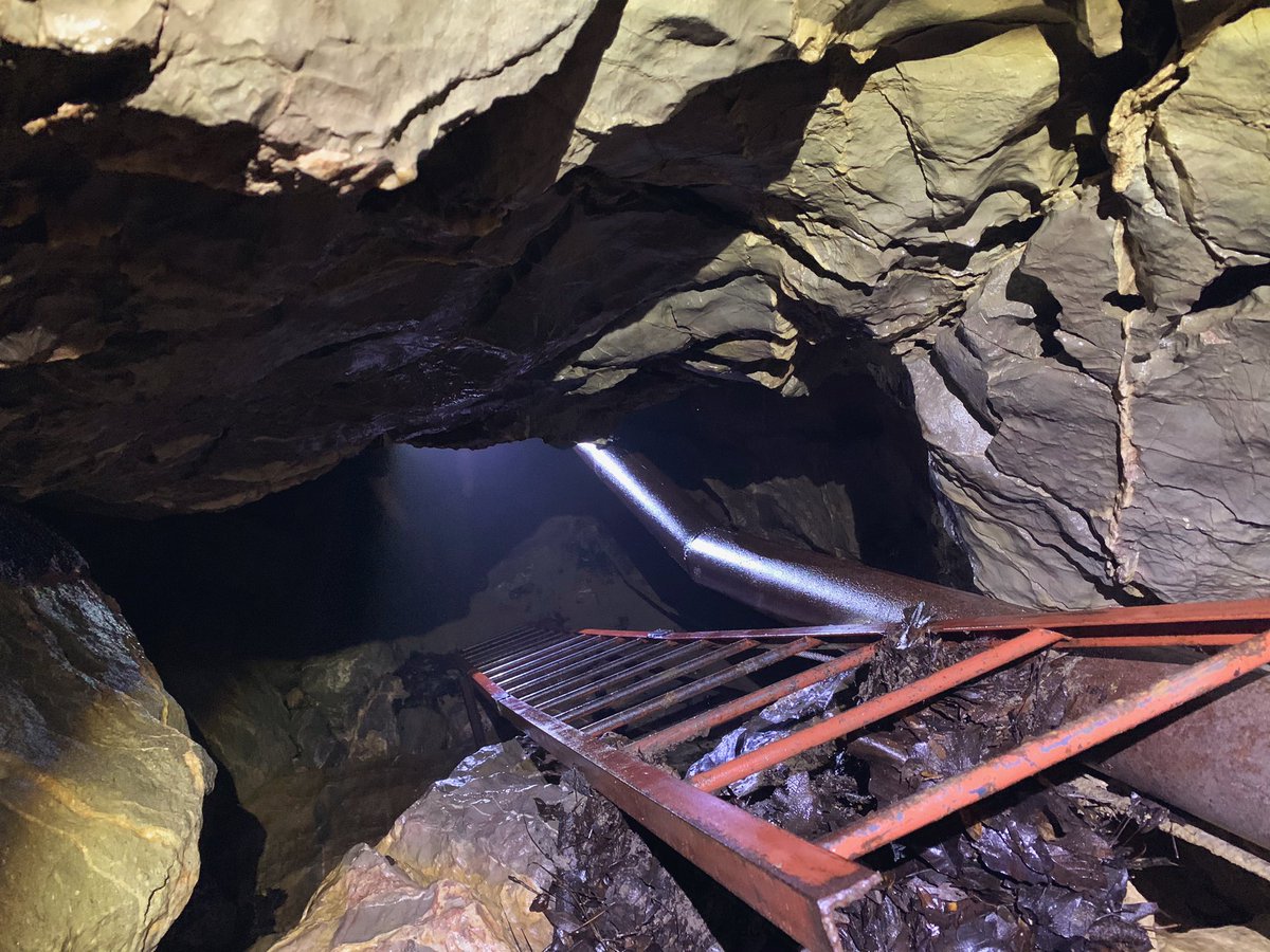 Ladder in a hole surrounded by rock