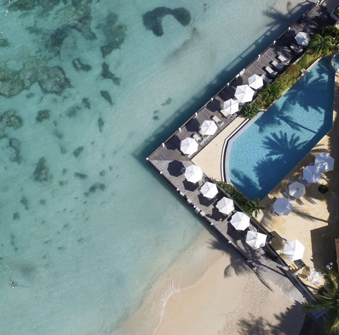 saventureltd's tweet photo. Can you see yourself here? If the answer is yes visit https://t.co/owL5EAN3wR and let us know! 
¿Puedes verte aquí?  Si la respuesta es sí, visite https://t.co/owL5EAN3wR y háganos saber.

#mondayblues #southamericaventure #bluewatershotel #booknow #islandlife https://t.co/PDHpAeLVMu