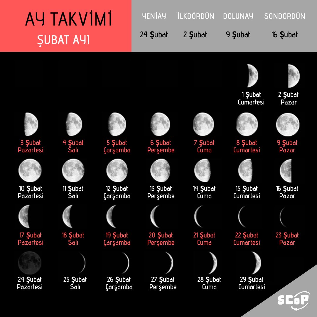 scopcomtr's tweet photo. 🌖🌗🌘 Şubat Ayı, Ay Takvimi⠀
.⠀
. 👉 https://t.co/HapwDb9KcB⠀
.⠀
.⠀
#scop #scopscifun #scopmakerstudio #bilimmerkezi #bilim #planetaryum #atölye #deneyim #teknoloji #stem #maker #ankara #antalya #robotik #kodlama #gökbilim #uzay #astronomi https://t.co/L3nSUyK7E4