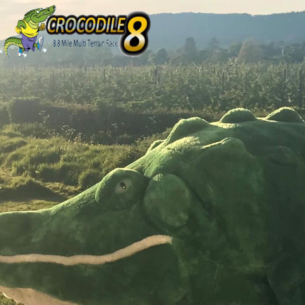 It won’t be long and Cecil will be making his rounds again! 
He likes to visit those who have contributed to the crocodile 8 in any way shape or form, keep your eyes peeled for more posts to see what he gets up to.😃🐊
