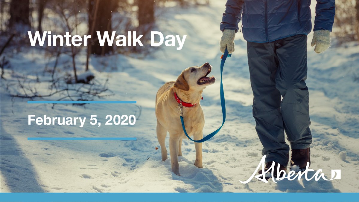 YourAlberta's tweet image. This Wednesday, celebrate @winterwalkday and spend time outside. Even a short walk counts! 

This initiative is great motivation to get moving during our long winter. Over 100,000 Albertans participated last year. Register at shapeab.com/winter-walk-da…

#winterwalkday #shapeab