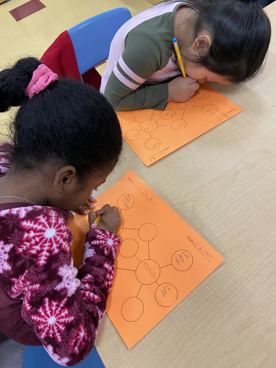 MsMayoIteachK's tweet photo. Today we created a Double Bubble Map to compare &amp; contrast what we are learning about plants &amp; animals in our ecosystem! 🌿🦁#TeamLakewood #KnowledgeInKinder #ARCCore https://t.co/xxNfZJb33M