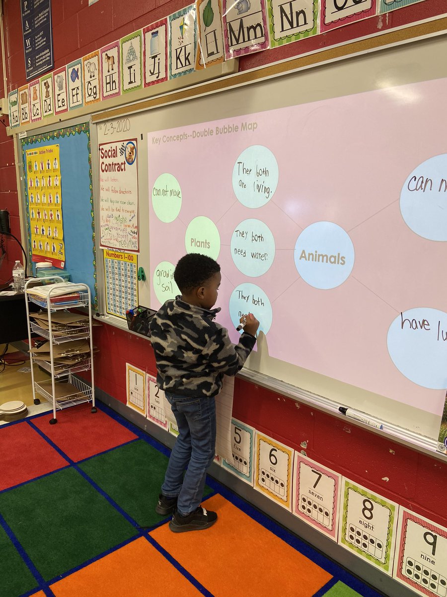 MsMayoIteachK's tweet photo. Today we created a Double Bubble Map to compare &amp; contrast what we are learning about plants &amp; animals in our ecosystem! 🌿🦁#TeamLakewood #KnowledgeInKinder #ARCCore https://t.co/xxNfZJb33M