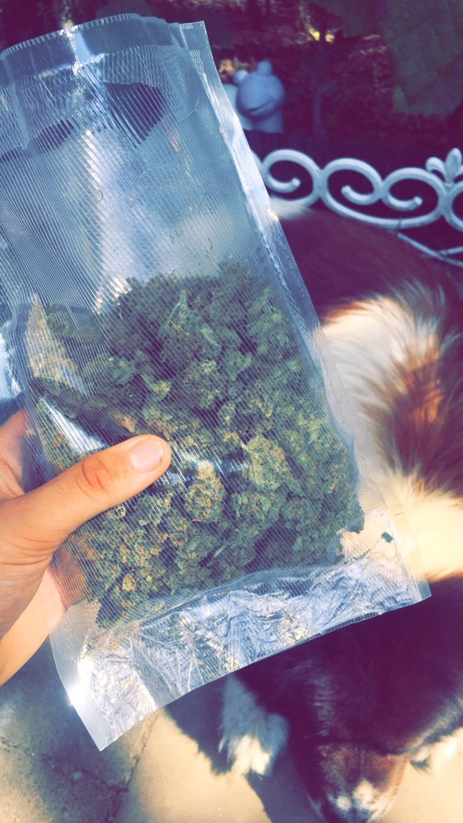 weeddshop100's tweet photo. De la bonne qualité commandez sur /

Snap/jeanmarieowon19

Wickr/weedshop100

#Marseille #paris2020 #Lyon #toulouse #Nice #nantes #Strasbourg #Montpellier #Bordeaux #Lille #Rennes #Reims #lehavre #saintetienne #Toulon #grenoble #Angers #Dijon #brest #Nimes #LeMans #aixenprovence https://t.co/q6a5xxSTjm