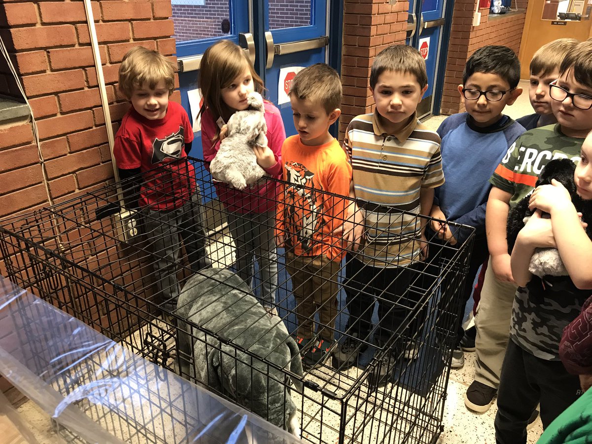 Kindergarten stops in the lobby to meet Ivan and his friends. Once again, we are embarking on another great read as a school community. Our selection this semester is the 2013 Newbery Award winning book -The One and Only Ivan. #FCPSVA <a href="/kaaauthor/">Katherine Applegate (kaaauthor.bsky.social)</a>