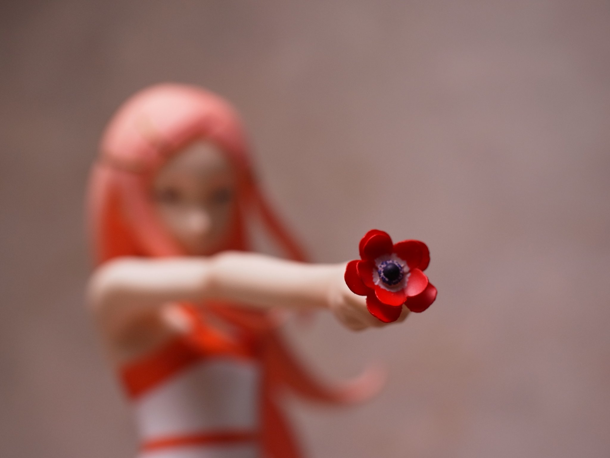 Teiji アネモネの花言葉 知ってる 消える希望 よ エウレカセブン Wfw Teiji アネモネの花言葉 知ってる 消える希望 よ エウレカセブン Wfw