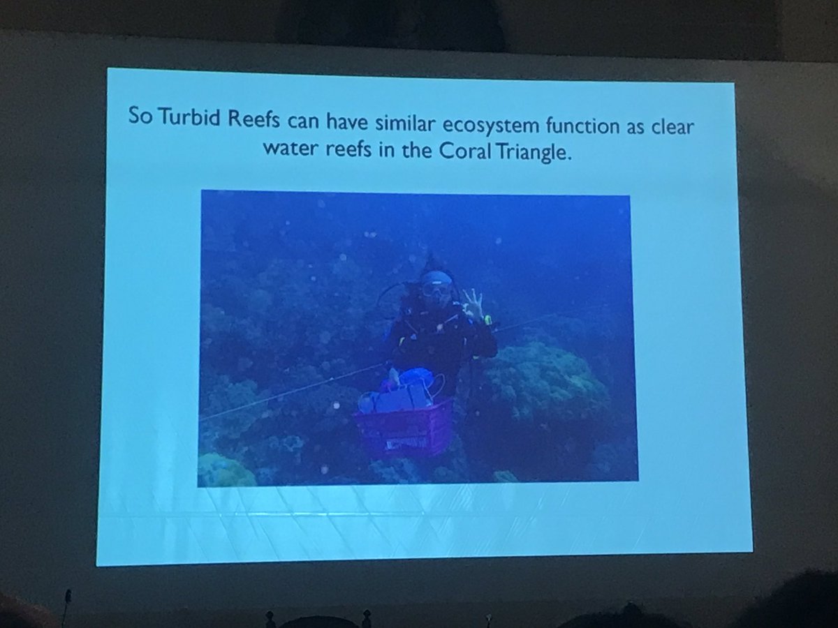 StefaniaPiarul1's tweet image. Sometimes some good news by @kenneth81679281 about our ecosystem functioning #paleobio