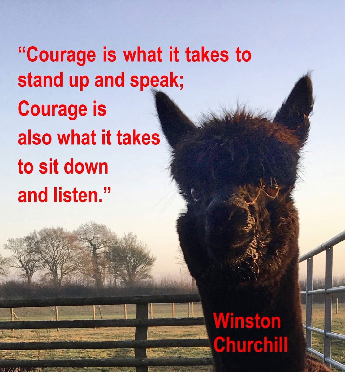 alpacapower's tweet photo. @ConservativeAWF @BorisJohnson Time to do the right thing after 2.5 yrs! @savegeronimo #savegeronimo #stopblamingNZ @DefraGovUK @ChiefVetUK #nodisease #novalidevidence #testnotslaughter #theresavilliers #accountability #georgeeustice #agreetoresolution #fairtreatment https://t.co/SYJd5i5p0R