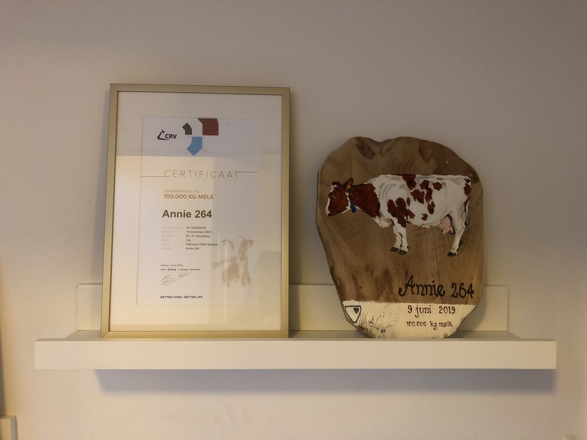 onsveluwe's tweet photo. Je mag best trots zijn op de behaalde resultaten. Daarom hebben we in onze hal een ‘wall of fame’ gemaakt. Onze hal of fame zeg maar ☺️ https://t.co/raBXW4CQr0