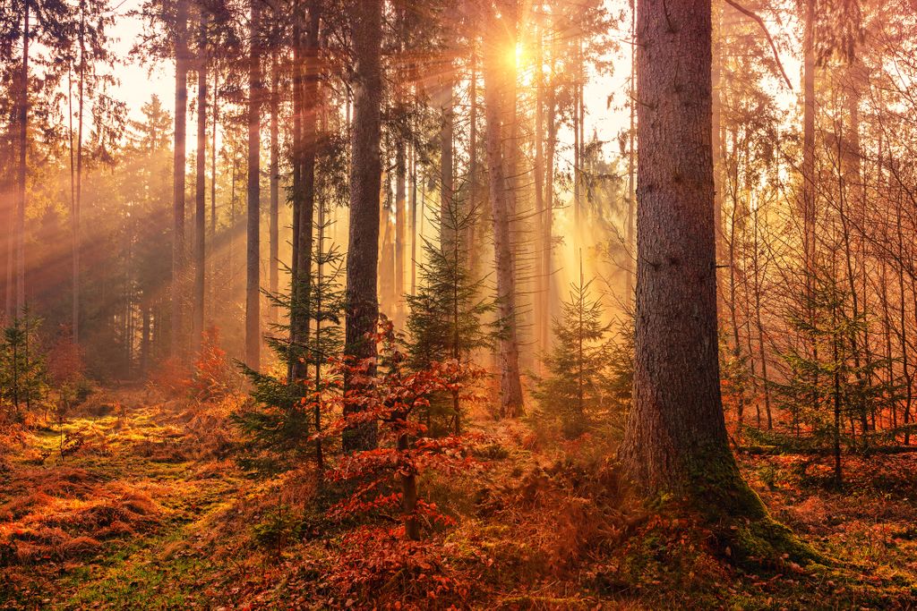 ReplantBristol's tweet photo. Make 2020 the year of action. ππ±
You can act against #climatechange now by signing up your business to plant #OneTreePerEmployee. π
https://t.co/qOUGC2k7Ae
#CSR #Bristol https://t.co/GlCwZYcrwi