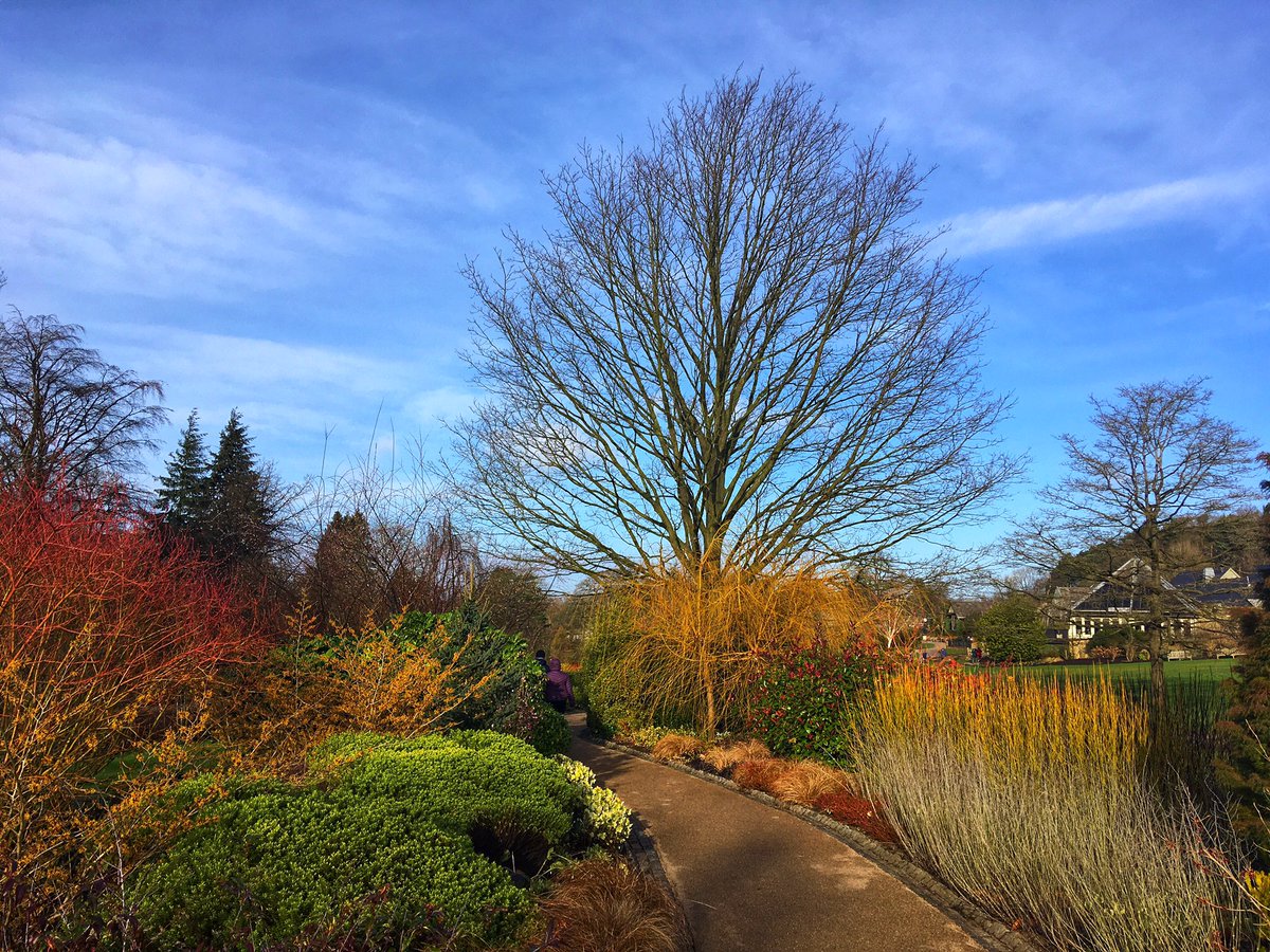 SuSusical's tweet photo. Lovely walk around Harlow Carr Gardens this morning. #winterwalk @rhsharlowcarr #harlowcarrgardens #wellbeing #mindfulness #nature #naturelovers #naturephotography https://t.co/OcjLJMZLDM
